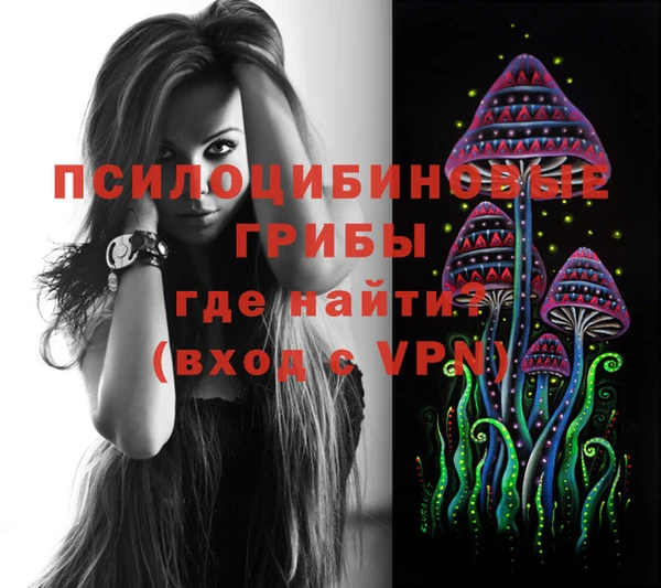 прущие крисы Абаза