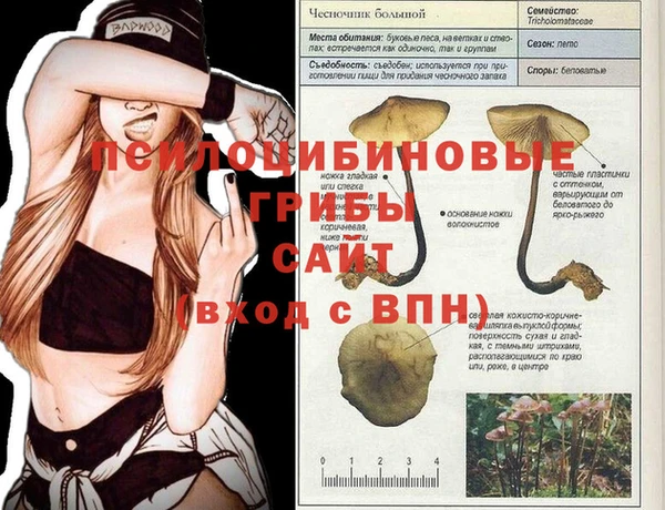 трава Абинск