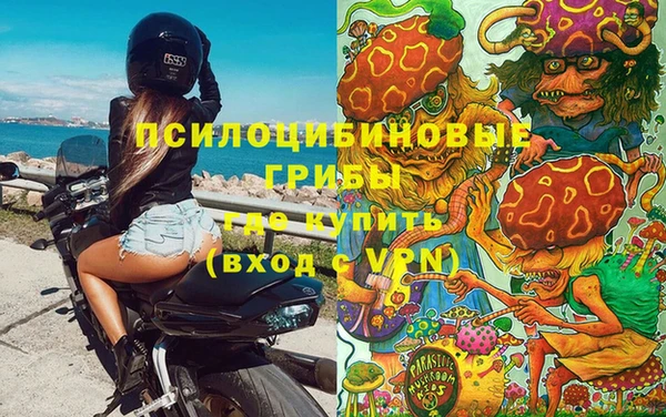 прущие крисы Абаза