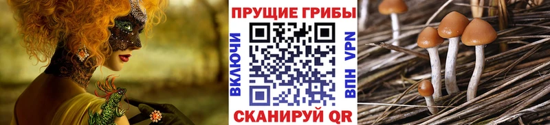 кракен зеркало shop официальный сайт Алушта Галлюциногенные грибы мицелий купить наркотик