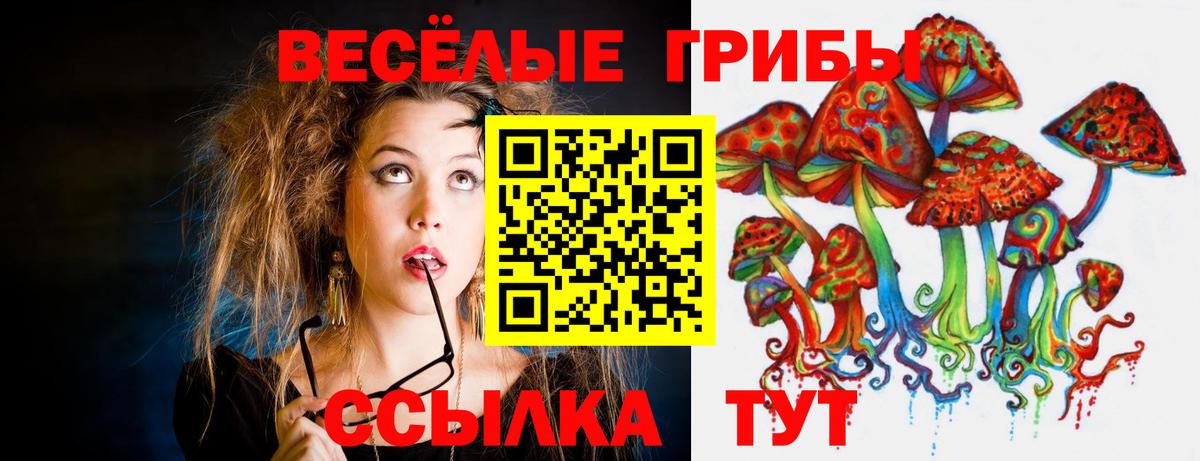 Галлюциногенные грибы прущие грибы  Вход с VPN  Алушта 